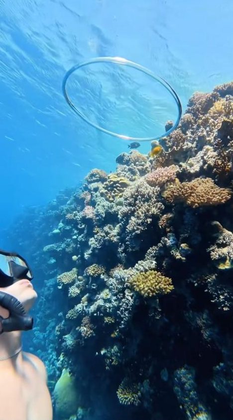 Bubble ring rising past a coral pinnacle in clear blue water